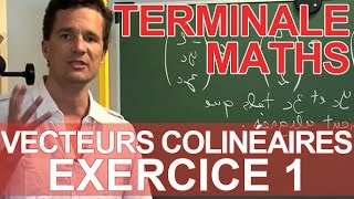 Vecteurs colinéaires  Exercice 1  Mathématiques Terminale  Les Bons Profs [upl. by Lerat901]