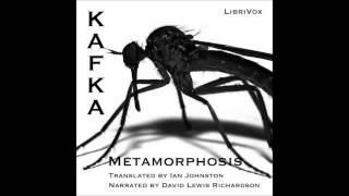 The Metamorphosis by Franz Kafka Free Audio Book in English Language [upl. by Belia]