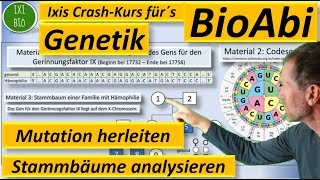 Genetik Anwendungsaufgabe AFB II Art der Mutation herleiten  Stammbaum analysieren  BioAbi 2023 [upl. by Refotsirhc575]