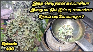 கல்பாசி மூலிகை மசாலா Kalpasi health benefits black stone flower  kalpasi  அரிய வகை கருங்கல் பாசி [upl. by Telrats]