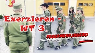 Formalexerzieren WT3  Feuerwehr Ausbildung [upl. by Allain]