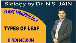 Types of Leaf Plant Morphology  Hindi Medium [upl. by Seda]