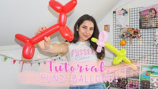 TUTORIAL BALLONGFIGURER OCH BALLONGDJUR Så här gör du en ballong hund  med Bee Company 🐶🎈 [upl. by Masson]