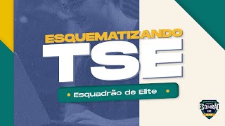 Esquematizando TSE  Gestão de Pessoas  Nova Contratação [upl. by Lole]