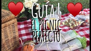 GUÍAEL PICNIC PERFECTO [upl. by Linnell]