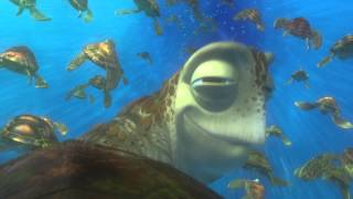 FINDING NEMO 3D Clip  Exit Buddy [upl. by Devona990]