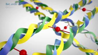 Rousselot  Explaining crosslinking in softgels  Copyright © Rousselot [upl. by Rehprotsirhc]