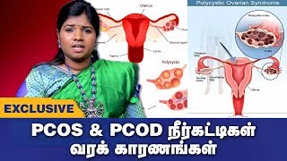 PCOD amp PCOS Symptoms amp Treatment in Tamil  PCOD amp PCOS Siddha Treatment  Tamil health tips [upl. by Enirak928]