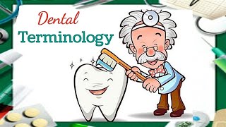 Dental terminology مصطلحات طب الاسنان [upl. by Neyuq416]