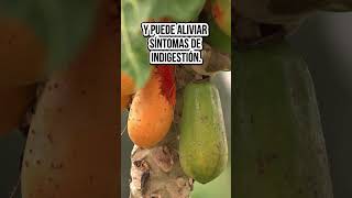 ¡Cuida Tu Digestión con Papaya Conoce sus Increíbles Beneficios digestiónsaludable [upl. by Aneekas965]