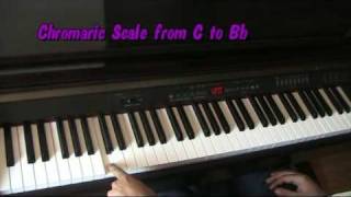 Maybe Im Amazed  Paul McCartney Piano Video Tutorial [upl. by Eirrehs23]