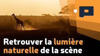 📷 Comment retrouver la lumière naturelle de la scène [upl. by Akkahs]