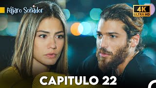 Pájaro Soñador Capítulo 22 Doblado En Español 4K [upl. by Anialram]