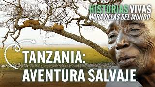 Tanzania la paradisíaca isla de Zanzíbar el monte Kilimanjaro y el safari de Tarangire Documental [upl. by Yrram744]