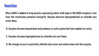 quotWhen GABA is added to frog oocytes expressing either wildtype or Rdl GABA receptors [upl. by Oisor]