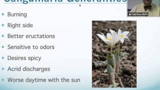 Sanguinaria Canadensis Homeopathic Medicine Tips For Beginners [upl. by Drucilla]