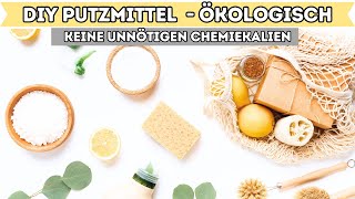 DIY  Putzmittel selbst herstellen OHNE CHEMIE amp unmengen an Geld sparen I Alenas Momlife [upl. by Annawyt742]