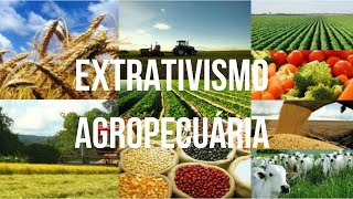 EXTRATIVISMO E AGROPECUÁRIA  6ºANO [upl. by Nickola]