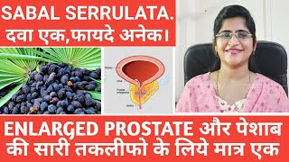 Sabal serrulata homeopathic medicine।Urine infection। [upl. by Aninad115]