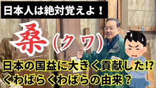 【有料級】日本人なら知るべき「桑」の価値・ありがたさ [upl. by Atoked]