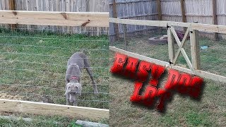 How to Make a Wooden Dog Lot [upl. by Fitzhugh394]