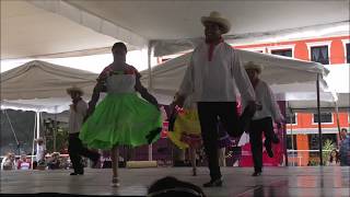 LA SIRENA DEL AMOR  Huapango  Festival nacional del Huapango 2018 [upl. by Magena777]