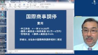 国際商事仲裁と調停の違い、費用。国際ビジネス紛争の解決手段とは？裁判か仲裁か？日本商事仲裁協会。 [upl. by Greabe]