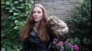 VLOG 04  De uilen voorstellen [upl. by Fronniah]