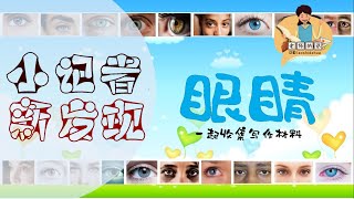 【小记者新发现】1 一起收集写作材料《眼睛》 [upl. by Lennod]