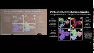 Larry Steinman Vaccines adjuvants and autoimmunity [upl. by Licna]