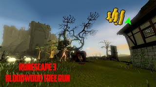 Runescape 3 Bloodwood Tree Run Guide Easy GP 2020 [upl. by Retswerb493]