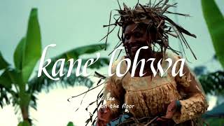 Official Video Kane Lohwa [upl. by Cirdnek]