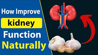 Improve Kidney Function Naturally Diet and Lifestyle Tip [upl. by Cirdec866]