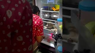 Fridge ke andar beth gaya doglovers dog youtubeshorts viralshorts shorts [upl. by Tammany]