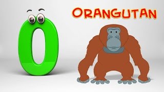 ABC Song  Phonics Letter O [upl. by Anirbys]