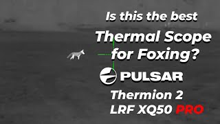 Is this the Perfect Foxing Thermal Riflescope  Pulsar Thermion 2 LRF XQ50 PRO Review [upl. by Daisy]