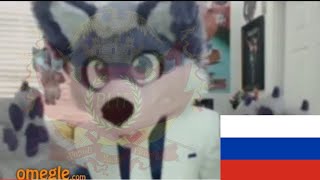 Packgod VS Omegle furry  packgod на русском пакгод на русском пакгод packgod Russian DUB [upl. by Zumstein289]