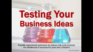 Testing or Validating Your Business Idea in the Marketplace [upl. by Hajan]