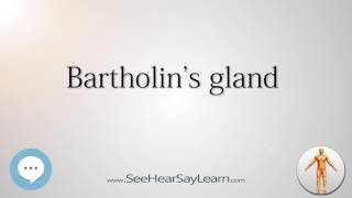 Bartholins gland Anatomy Named After People 🔊 [upl. by Suitangi]