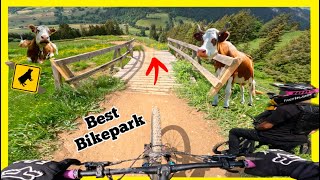 Best Bikepark EVER  Wiriehorn Weryhorny Trail😱💯  GoPro 11 [upl. by Eeramit]