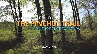 The Pinchot Trail South Loop  Pinchot State Forest  PA [upl. by Sirahc]