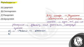 Phytochrome is a [upl. by Pooi]