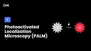 What is Photoactivated Localization Microscopy PALM [upl. by Lahey393]