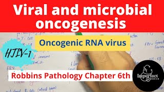 Viral and Microbial OncogenesisOncogenic RNA Viruseshuman Tcell leukemia virus type 1 HTLV1 [upl. by Ainar]