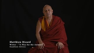 MATTHIEU RICARD  A Plea for Animals the Planet amp Human Beings english [upl. by Sirc]