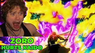 ZORO 9 SWORD STYLE VS KAIDO One Piece 1027 Reaction [upl. by Refenej]