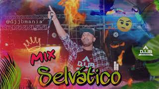 Mix Selvático  DJ JB  Quédate  Pepas  Dj CuePlay  Calamar De La Selva Pura Selva DJ JB ☝️🤨🌴 [upl. by Al288]