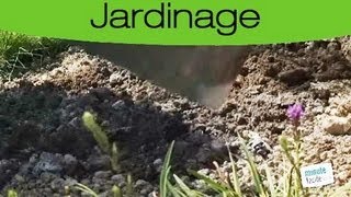 Astuces Jardinage  Utiliser les cendres de bois dans son jardin [upl. by Enalb]