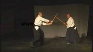 Shinkendo HUN 2006 [upl. by Akiv]