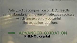 Phenol Degradation by Catalyzed Hydrogen Peroxide H2O2 [upl. by Eizus]